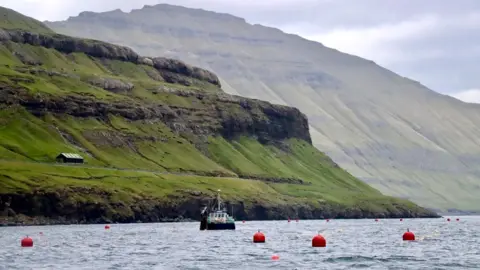 Adrienne Murray Seaweed farming Faroe Islands