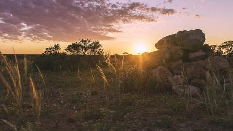 The cars chasing the Sun - BBC News