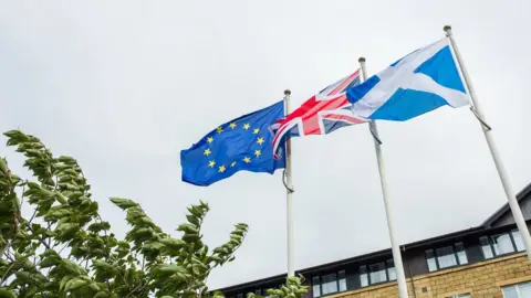 Getty Images Flags