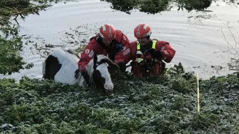 Essex Fire Service Horse being rescued
