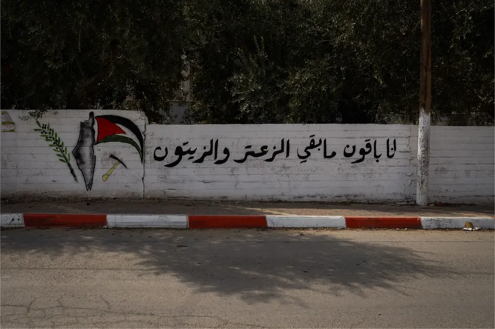 BBC A Palestinian saying - "We will stay here as long as there are thyme and olives" - on a wall where Moath Odeh was killed