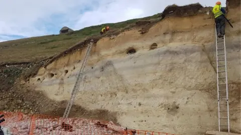 Cardiff University Looking up at the cliff as experts excavate the remains