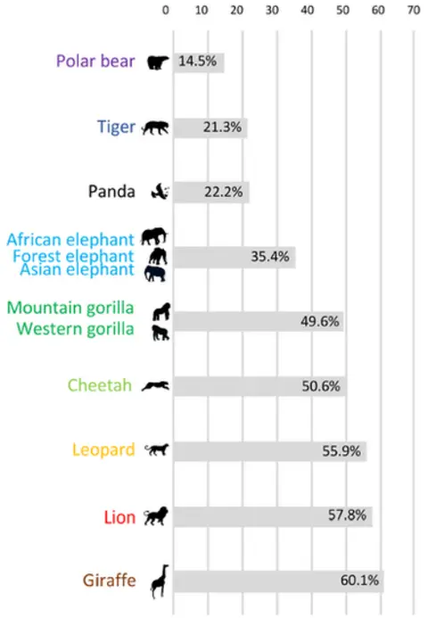 Franck Courchamp A chart showing that 60 per cent of people did not know giraffes were a vulnerable species