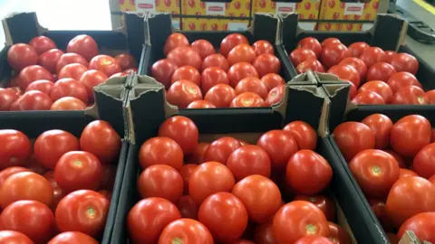 Dutch tomatoes