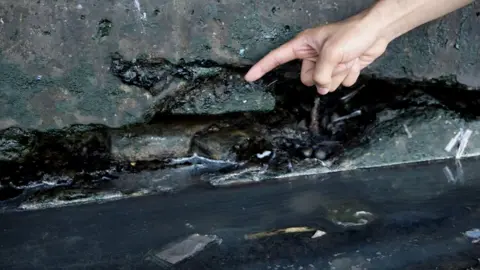 BBC Picture of a crack in the foundation of a building.