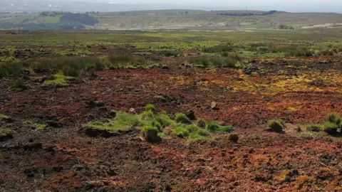 Woodland Trust Damaged moorland view