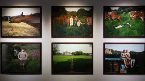 Sian Davey/Guernsey Museums Guernsey pictures