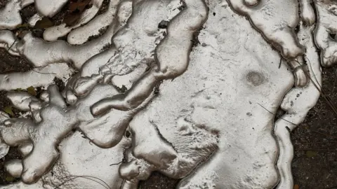 Reuters Melted metal from an abandoned car destroyed by the Camp Fire is seen in Paradise, California, U.S. November 10, 2018