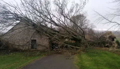 Indra Rampersad van Boeckel/PA Fallen tree on shed