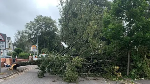 South Wales Police A tree brought down by the wind