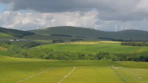 Buccleuch/Forsa Energy Viewpoint