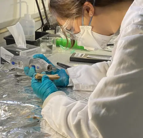 MOLA science lady looking at bone