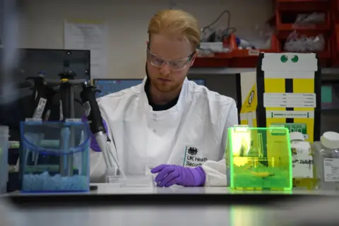 BBC A lab technician prepares samples at one of the new labs at the Health Security Agency, Porton Down, in Salisbury