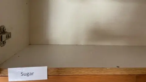 Shrewsbury Ark Empty cupboard