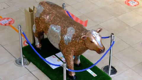 Cows about Cambridge Penny the cow