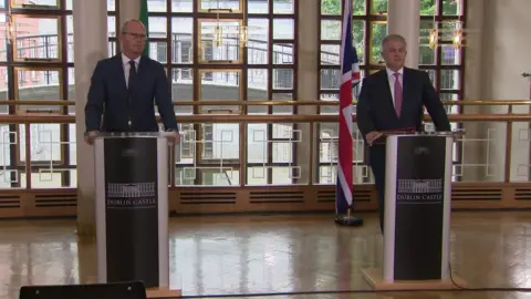 Simon Coveney and Brandon Lewis speaking at Dublin Castle