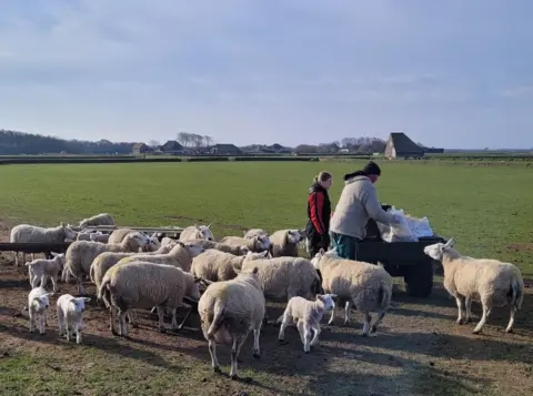 Marianne Wever Two farmers provender  a flock of sheep