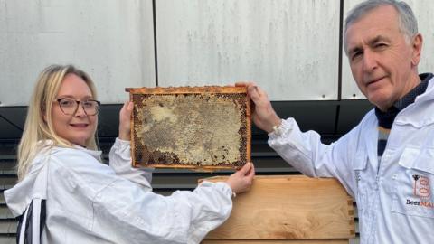 Engineered bacteria protect honey bee health