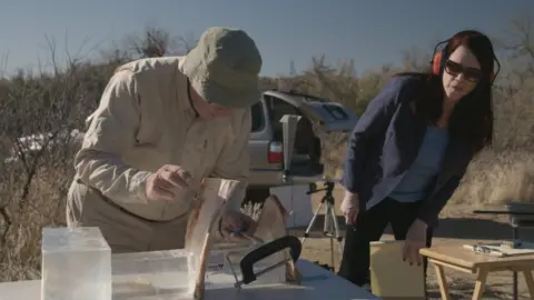 Netflix Kathleen Zellner