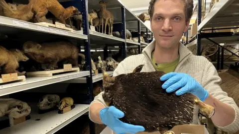 BBC/JONAH FISHER Pepijn Kamminga holds up the Attenborough echidna