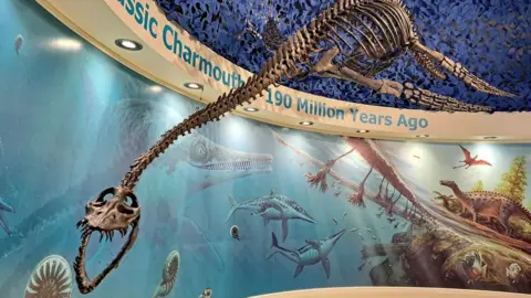 Bill Burn plesiosaur