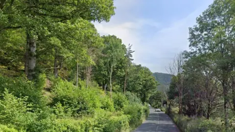 Google Borrowdale Road