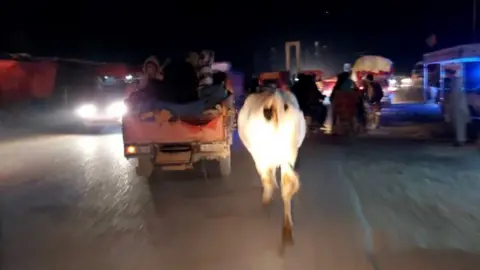Gul Mohammad A cow running along the road with various vehicles