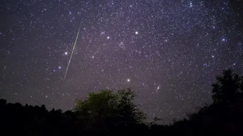 Leonid meteor shower: When, where and how to catch a glimpse of the shooting  stars