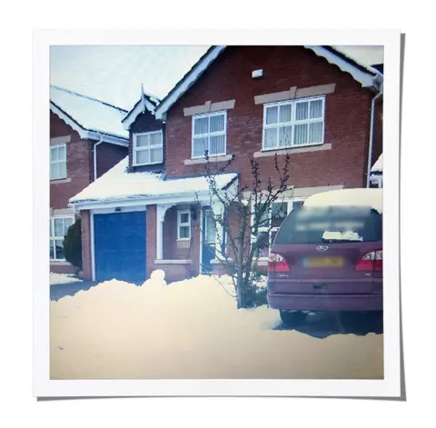 The house in snow