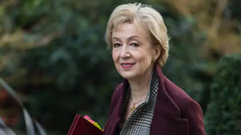 NurPhoto/Getty Images Andrea Leadsom