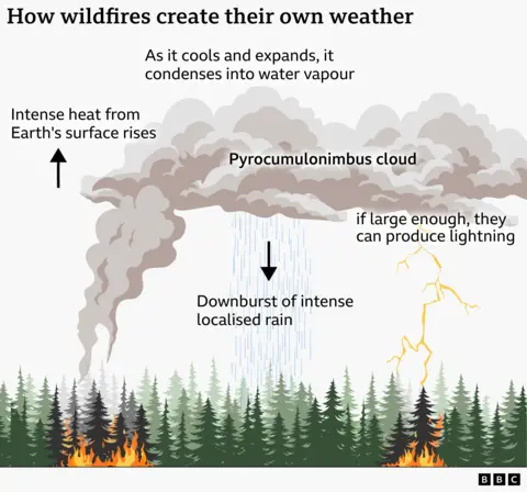 A graphic shows how wildfires create their own weather. 