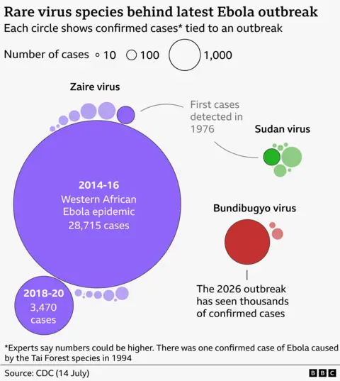 Bubble chart titled “Rare virus species behind latest Ebola outbreak,” where circle size represents confirmed cases. A very large purple circle shows the 2014–16 West African epidemic with 28,715 cases, far exceeding others, alongside a smaller 2018–20 outbreak with 3,470 cases. Smaller clusters represent Zaire, Sudan, and Bundibugyo virus outbreaks; Sudan shows moderate case circles, while Bundibugyo includes a highlighted 2026 outbreak with dozens of confirmed cases and hundreds more suspected cases. A note states Ebola was first detected in 1976 and that case numbers may be underestimates. Source: CDC, WHO.