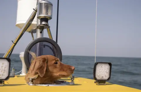 DavidSchnabel Shackleton