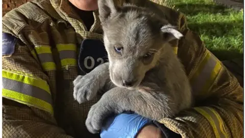 Rushmoor firefighter Lauren Forster holding puppy