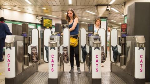 london underground cats