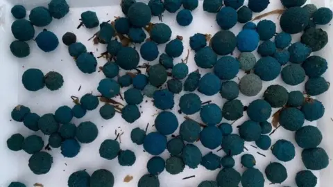Jacqui Harrison/Marske Litter Action Recovered blue balls in a container