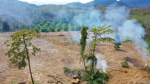 Getty Images An cleared area of land in Sumatra, Indonesia with smoke rising and rainforest surrounding the location