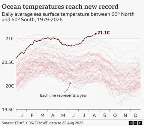 Graph showing global average sea surface temperatures for each day of the year. Each year since 1979 is shown as an individual light red line, running from 1 January to 31 December. Each line tends to peak in March or April, with a lower secondary peak in August. The line for 2026 is shown in dark red and has kept climbing since June and now stands at 21.1C.