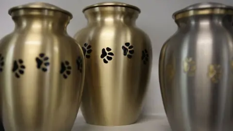 Pet ashes