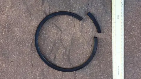 Friends of Horsey Seals Rubber ring removed from neck of seal