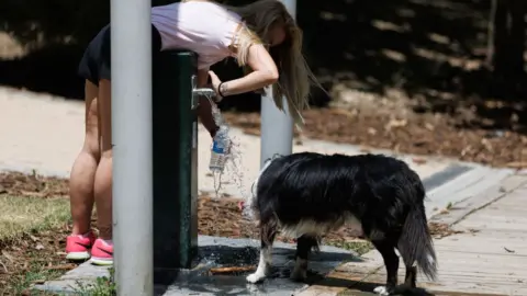 Getty Images A woman and a dog drink water from a fountain in a Madrid park