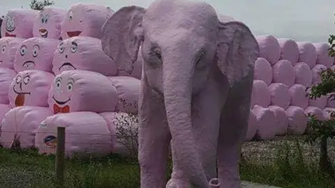 Made-Well Elizabeth the elephant