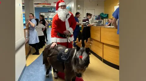 Sam Dracott-Farrier/PA Wire A hospital ward with the miniature pony in the foreground wearing toy reindeer antlers and Sam dressed as Santa behind. In the background there are doctors and nurses standing at work stations.