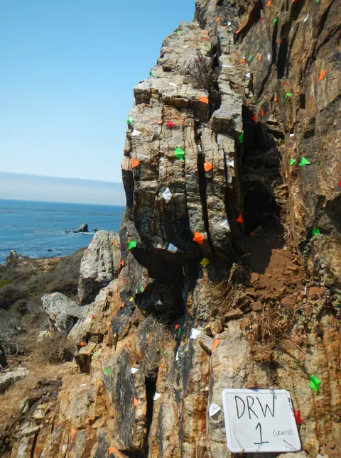 D&A Rood/Imperial College London Study PBR