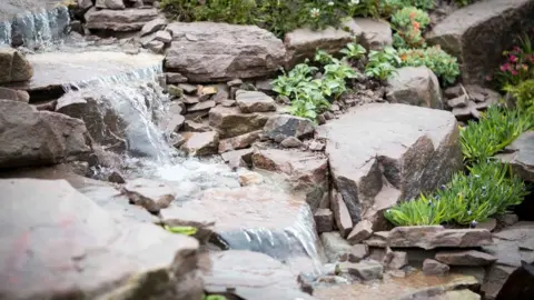 RHS Jackie Sutton's Just Add Water garden