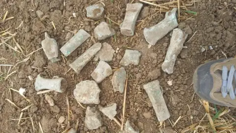 Colin Hardwick Bronze Age axes