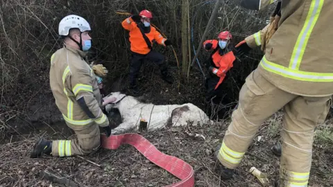 Hertfordshire Fire and Rescue Horse rescue