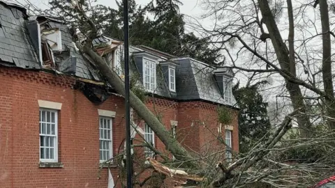 Herefordshire Council Tree fallen on Holme Lacy House Hotel