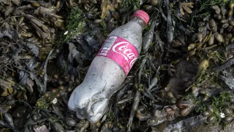 Getty Images Plastic bottle on beach