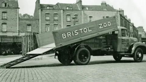 Bristol Zoo Bristol Zoo Lorry in the late 40s